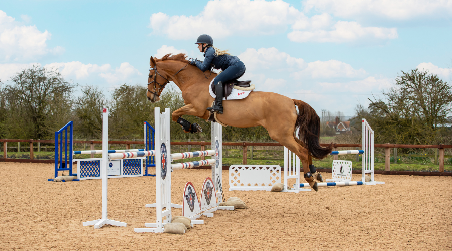 12 things to tick off your equine bucket list!
