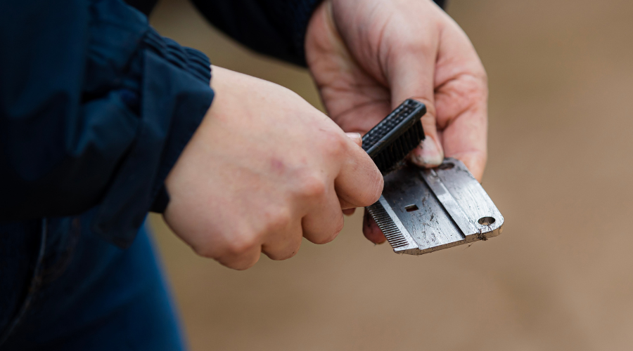 Our guide to clipping different coat types