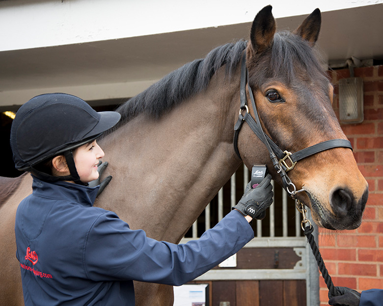 How to Clean and Oil Your Clippers - Pro Equine Grooms